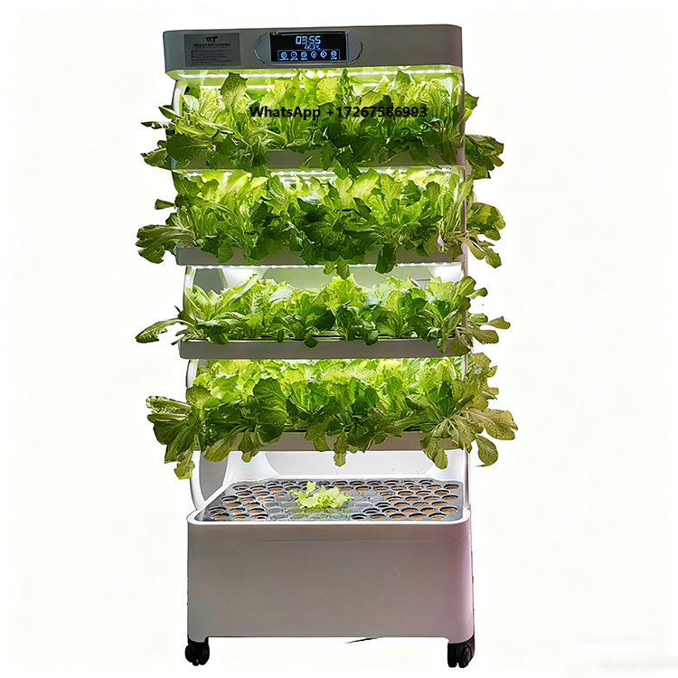 Grow Light Led - スマートな垂直型水耕栽培システム - 家庭菜園用のLED育成ライト付き、自動化された屋内野菜栽培機。