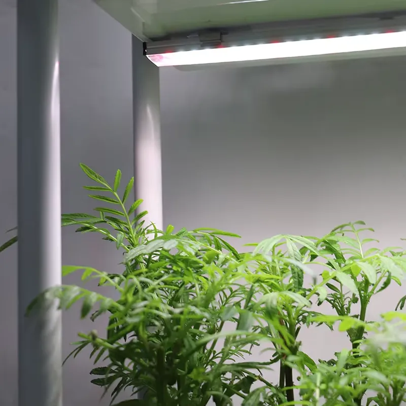 Smart Garden System - 移動式垂直型3段自動給水スマートガーデンプランターボックススタンド、室内ハーブ植物栽培システム（ライト付き）