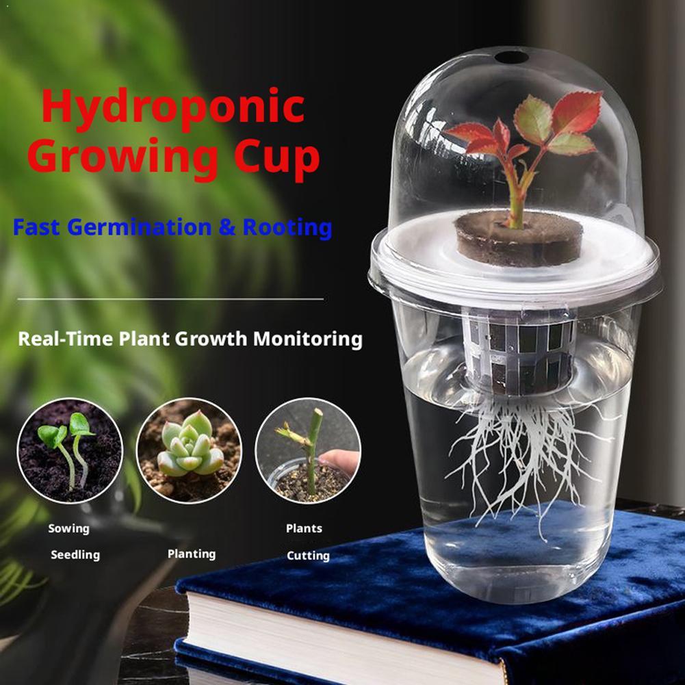 植物苗水耕栽培カップ透明プラスチック植木鉢目に見える根系温室 - Hydroponic Tower のレビューと価格