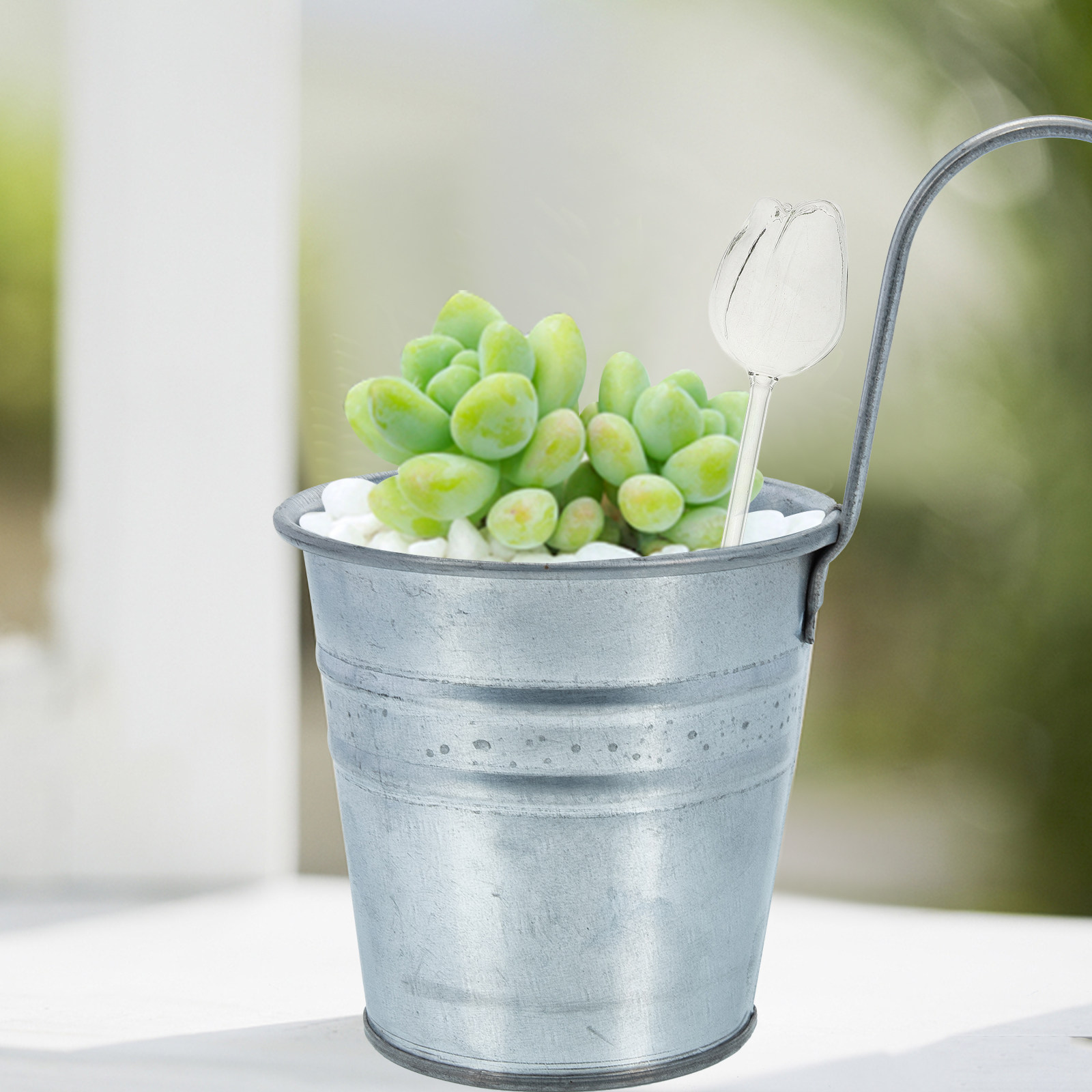 高品質なホウケイ酸ガラス製のバラ型水やり球2個入り。室内・屋 - Self Watering Planter のレビューと価格