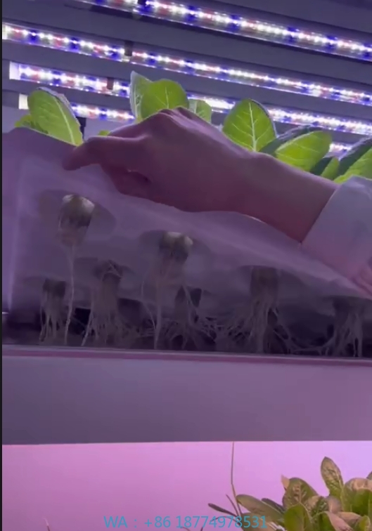 温室農業機器、きのこ、野菜、果物の栽培、垂直農場、水耕栽培タ - Hydroponic Tower のレビューと価格