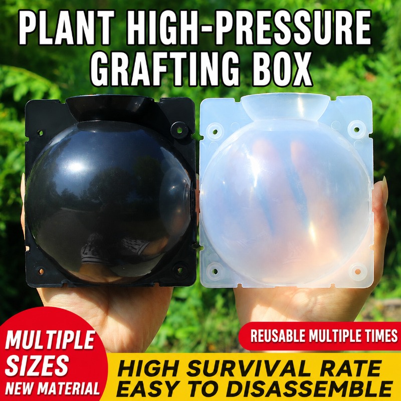 10個入り植物繁殖キット：高速発根用高圧接木ボール。 耐久性 - Indoor Garden Kit のレビューと価格