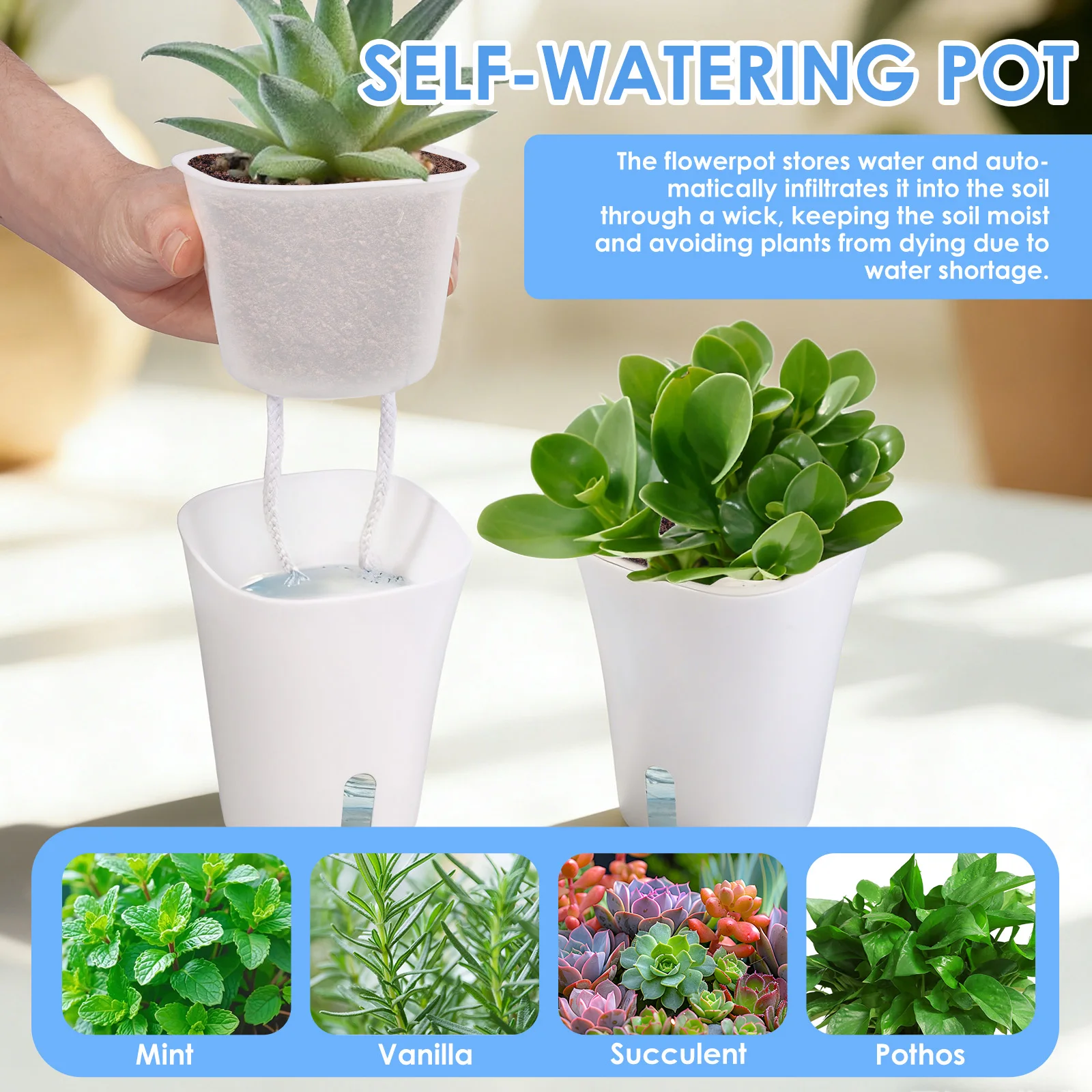 10 個自動散水プランター怠惰な水耕栽培フラワーポットプラス - Hydroponic Grow Pod のレビューと価格