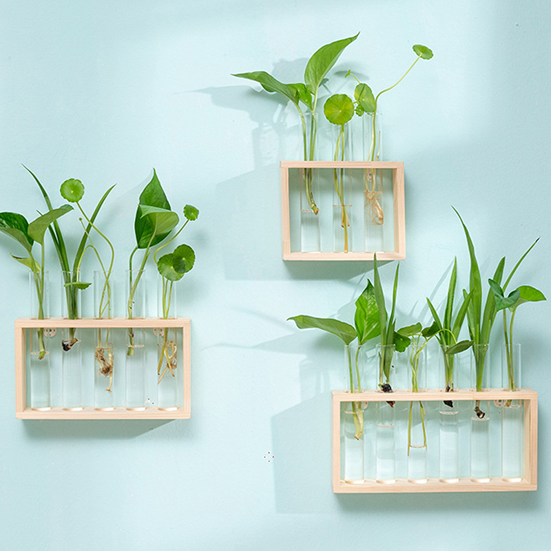 水耕植物コンテナ木製フレーム透明ガラス試験管花瓶植木鉢ホーム - Hydroponic Grow Pod のレビューと価格