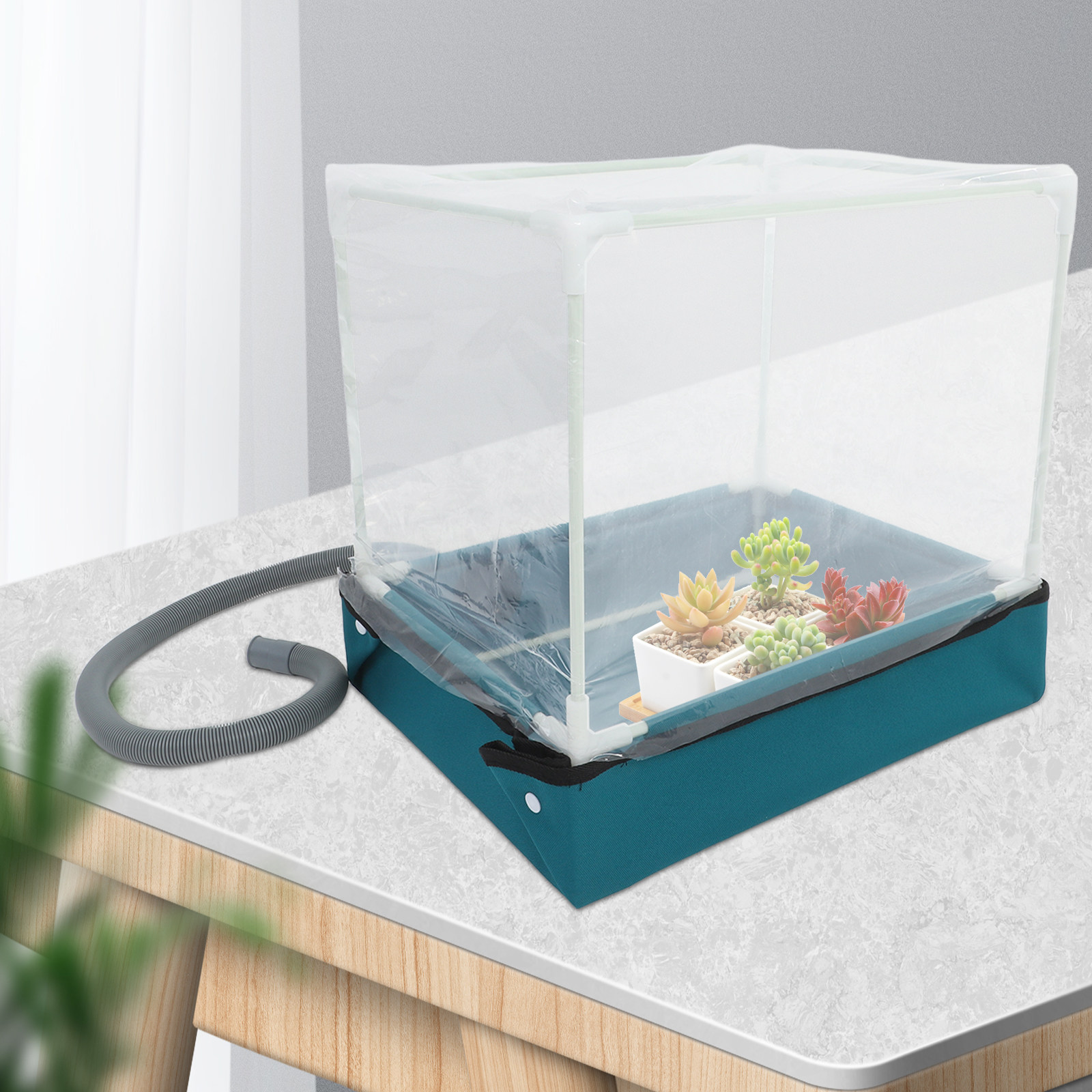 ミニ室内多肉植物用温室キット – 小さなスペースでのガーデニ - Indoor Garden Kit のレビューと価格
