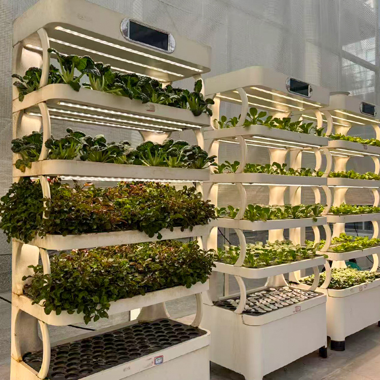 スマートな屋内ガーデンプランター - LED育成ライト付きの - Grow Light Led のレビューと価格