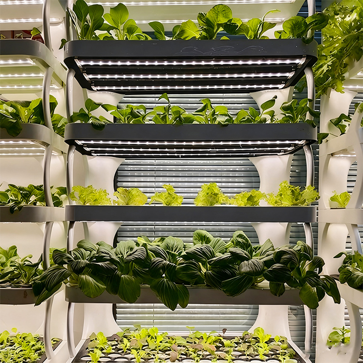 スマートな屋内ガーデンプランター - LED育成ライト付きの - Grow Light Led のレビューと価格